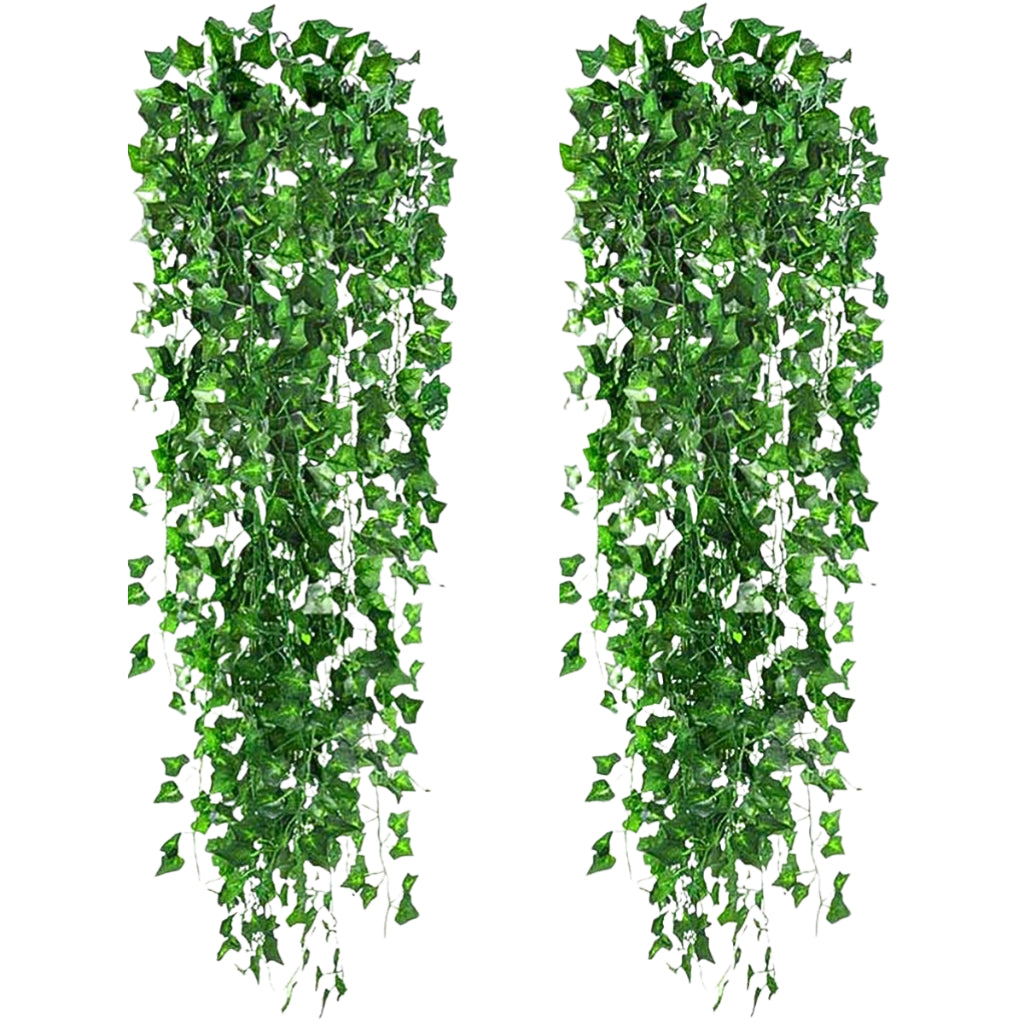 Rama Jardim Vertical Videira 2 metros Hera Unidade Verde Muro Inglês