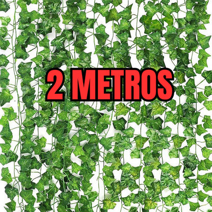Rama Jardim Vertical Videira 2 metros Hera Unidade Verde Muro Inglês