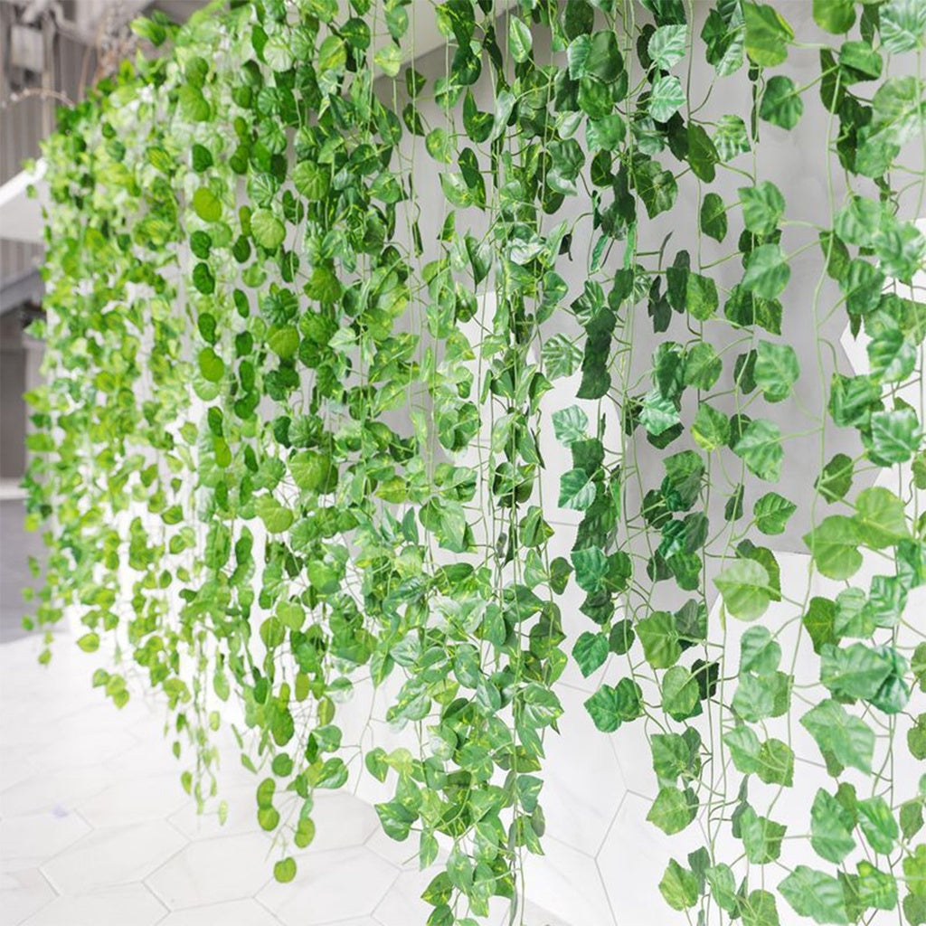 Rama Jardim Vertical Videira 2 metros Hera Unidade Verde Muro Inglês